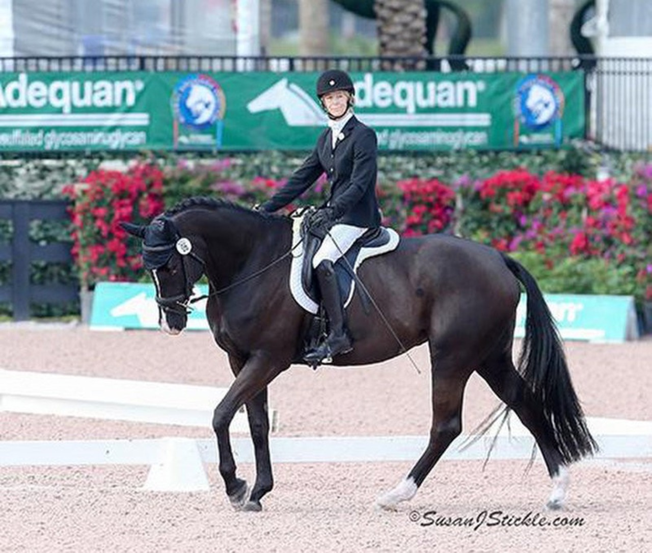 U.S. Para-Dressage riders finish with top results on final day of CPEDI3*  