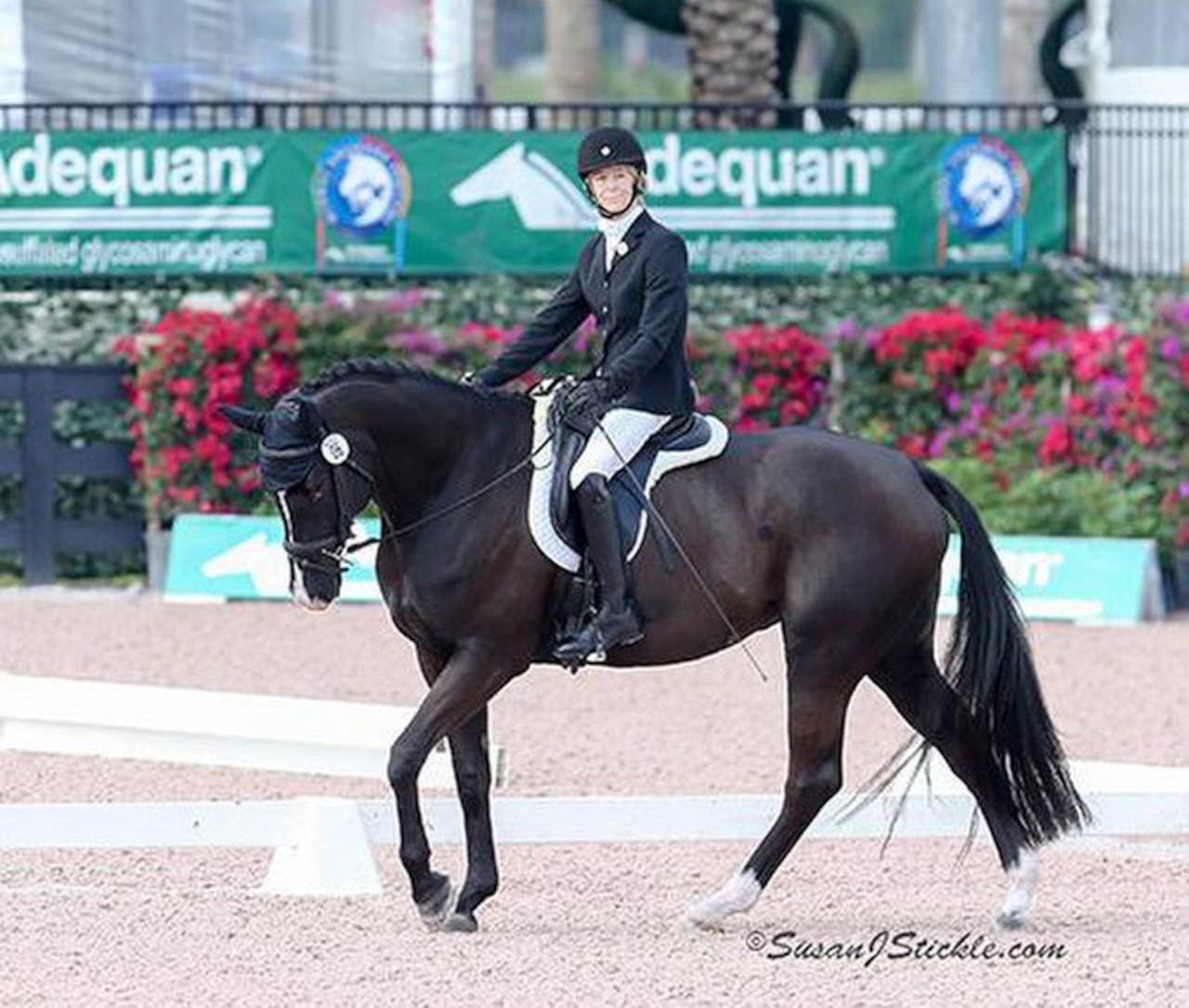 U.S. Para-Dressage riders finish with top results on final day of CPEDI3*  